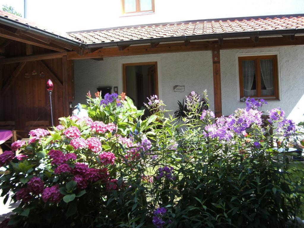 Appartementhaus Elisabeth Winklhofer บาดฟึสซิง ห้อง รูปภาพ